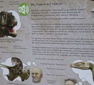 Dinosaurier Museum Altmühltal