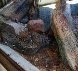 Schöner Zoo in Fuengirola