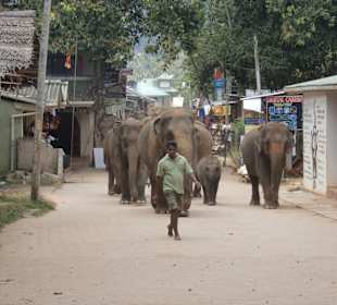 Platz da jetzt kommen wir