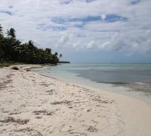 Strand auf Saona