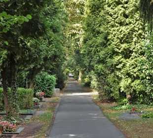 Eindrücke vom Friedhof Melaten