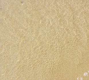 Glasklares Wasser am Morgen 