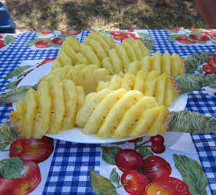 Belinda Speedboattour BBQ