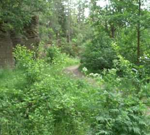 Wanderweg Märchensee Runde