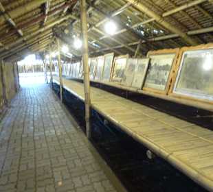 Bambushütte mit Bildern