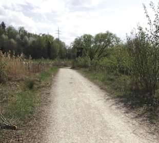 Wanderweg Firstwaldrunde