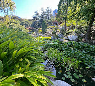 Impressionen aus dem chinesischen Garten