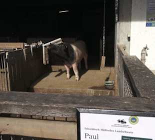 Hohenloher Freilandmuseum