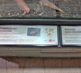 Regenwaldhaus