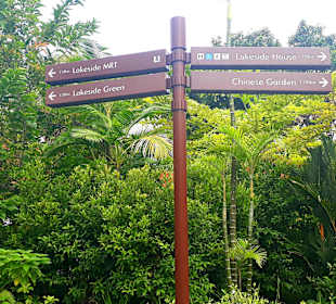 Jurong Lake und Gärten