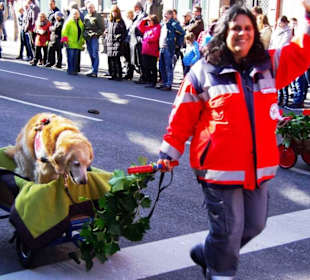 Wasser und Rettungstaffel Fürth