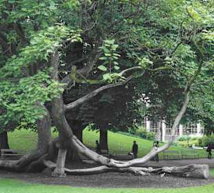 Ecke Bernhard-Paumgartner-Weg / Schloss Mirabell