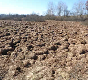 Reutberger Rundwanderung