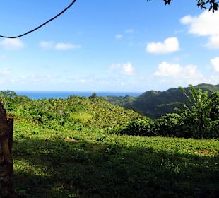 Quad Tour Las Terrenas