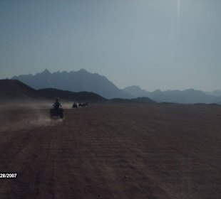 Quad dans le désert