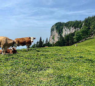Wandern Fladnitz an der Teichalm
