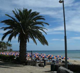 Strandabschnitt
