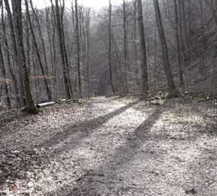 Gütersteiner Kapelle