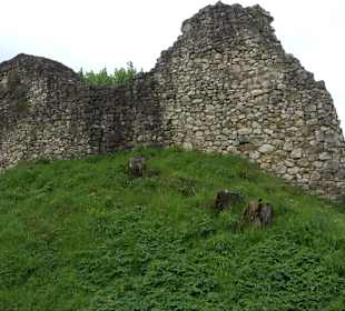 Ruine Burg Kaltenburg