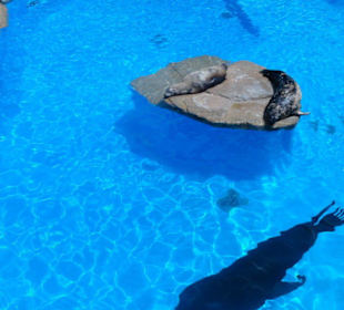 Mundomar Juillet 2011