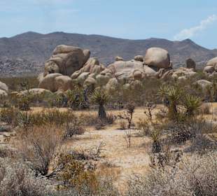 Joshua Tree National Park