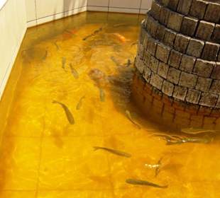Das Wasser könnte mal getauscht werden 
