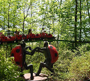 Marienkäferbahn