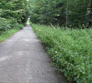 Sonnenaufgangs-Rundwanderung Rübgarten
