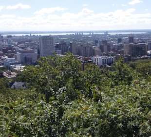 Mont Royal