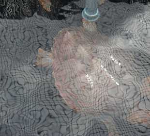 Verschiedene Wasserbecken