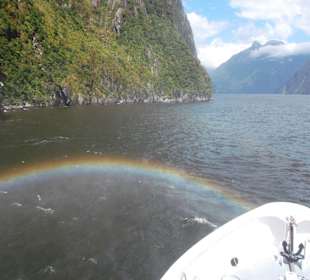 Milford Sound Bootstour