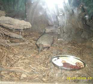 Urokliwe krakowskie ZOO.