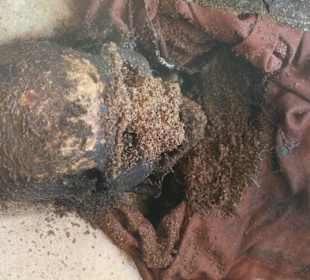 Der Mönch der nicht verbrennen wollte