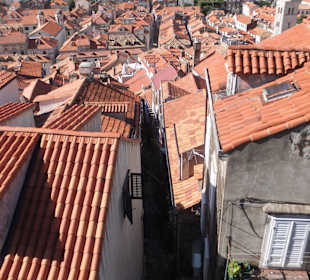 Blick über Altstadt