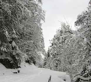 Path near Isenfluh