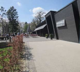 Am Niederwalddenkmal