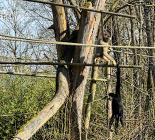 Tiergarten Straubing