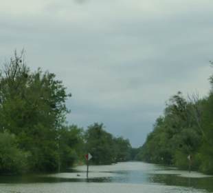 Auf dem Alten Rhein von Rheineck nach Rorschach