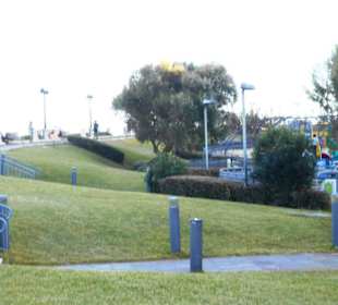 Qui Si-Sana Gardens