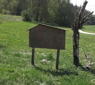 Waldlehrpfad an der Lauter