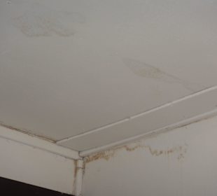 Decke-Feuchtigkeitsflecke