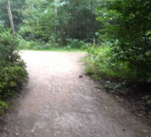 Dinosaurier Museum Altmühltal