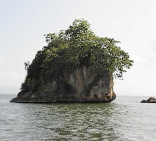 Naturpark Los Haitises - Kalksteinkegel (mogotes