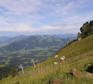 Kitzbühler Horn Hochalpenstraße