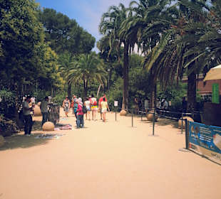 Park Guell 