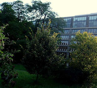 Park na tyłach warszawskiej giełdy