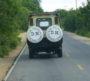 Fahrzeuge von DM-Tours sind überall präsent