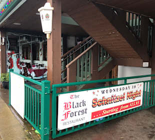 The Black Forest