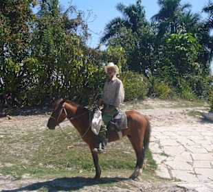 Auf dem Weg nach Santiago