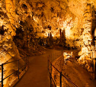 Höhlen von Postojna